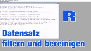 Datensatz filtern und bereinigen [upl. by Kaz]