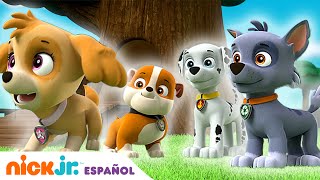 PAW Patrol  ¡Los cachorros salvan el día Compilación de 20 minutos  Nick Jr en Español [upl. by Yroc]