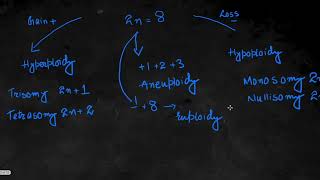 Chromosomal Abbreations Explained [upl. by Ayyn565]