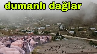 ÇOBANIN EN ZOR ANI DAĞLAR DUMANLI OLUNCA [upl. by Yatnod]