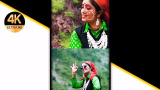 Maya Ka JhamelaSangeetaNew Kumaoni Video Song By Jitendra Tomkyal  Pammu Juyal  Preeti Lagwa [upl. by Pru]