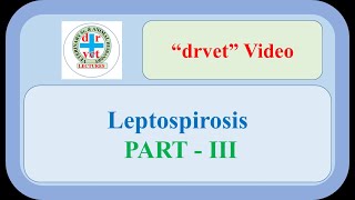 Leptospirosis Part 3 [upl. by Esinahs]