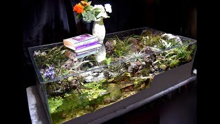 StreamTable from StreamSide Habitats 90 second version bio active ecosystem aquarium vivarium [upl. by Anaul]