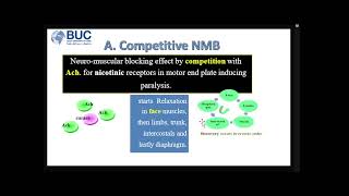 Skeletal Muscle Relaxants [upl. by Tigram]