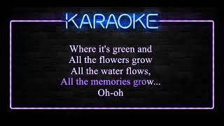 Corinne Bailey Rae  Green Aphrodisiac Karaoke [upl. by Ladnor682]