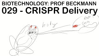 Biotechnology 029 CRISPR cas9 Delivery in Insects ReMOT Prof Beckmann [upl. by Eserehc]