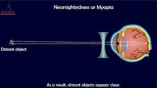 4 Types of Lenses In English [upl. by Ainegul338]