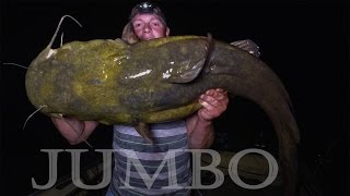 JUMBO Flathead Catfish Mississippi River Minnesota  Northwoods Angling [upl. by Ainar999]