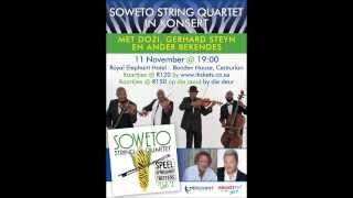 Soweto String Quartet in konsert 11 Nov 2013 [upl. by Sirtimid]