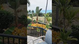 welcome to kona coast hawaii resort [upl. by Nisaj]