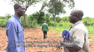 Establishment of Cashew Farm Training MovieACi [upl. by Moore]