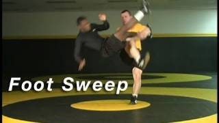 Foot Sweep from Single Leg  Cary Kolat Wrestling Moves [upl. by Tormoria793]