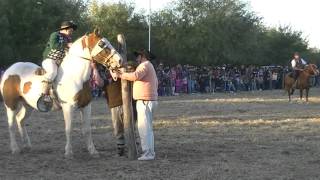 El mancha domado por quotCascotequot [upl. by Malaspina]