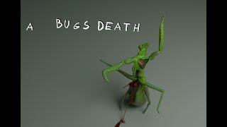 A Bugs Death [upl. by Swayne]