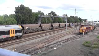 TrainSpotting Along The Hunter Valley Railway Line 14th April 2014 [upl. by Sivla]