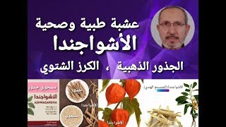 الفوائد الصحية المثبتة علمياً ل عشبة الأشواجندا Withania somnifera الاشواجندا اشواجندا [upl. by Ailices]