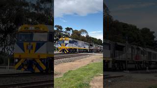 TRAINS AM22 SCT CF4429 SCT4 CSR8 at Monarto S Australia 50924 [upl. by Noiemad187]