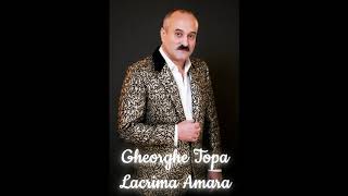 Gheorghe Topa  Lacrima Amara Official Audio [upl. by Eeslehc]