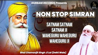 NON STOP WAHEGURU SIMRAN • Bhai Chamanjit Singh Ji Lal Delhi Wale • Latest Kirtan 2023 [upl. by Colman20]