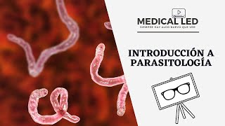 INTRODUCCIÓN A PARASITOLOGÍA Generalidades y clasificación [upl. by Singband]