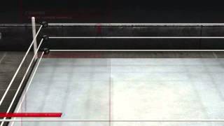 WWE2k14 Paige Moveset [upl. by Littman]