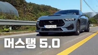 머스탱 50 GT는 여전히 독일차를 못따라올까 [upl. by Brendis732]