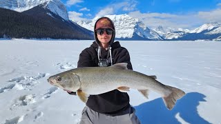 Bulltrout through the ice [upl. by Nomelihp943]