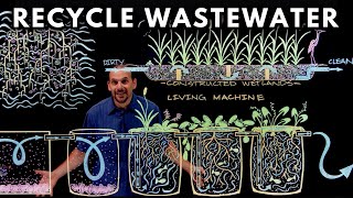 How to Recycle Waste Water Using Plants [upl. by Jeffy490]