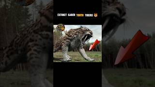 Extinct Animals Part 01  Saber Tooth Tigers Facts 🤯🤯 trending ytshorts shorts [upl. by Stevens]