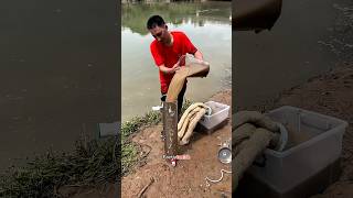 This DIY Water Filter SAVES Village From Contaminated Water shortsvideo [upl. by Eynenihc577]