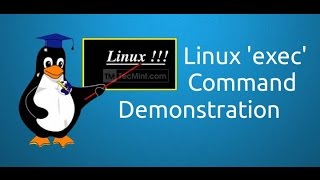 Linux exec Command Demonstration [upl. by Calle]