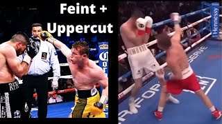 CANELO USING THE SAME MOVE ON DIFFERENT OPPONENTS FEINT  UPPERCUT [upl. by Allak]