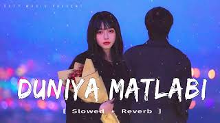 DUNIYA MATLABI  Slowed  Reverb  Song 2024 [upl. by Eceinehs690]