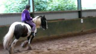 Horseback Riding 🐎  Learn About Horses for Kids  Ride Horses on the Farm  Educational for Kids [upl. by Nedrob]