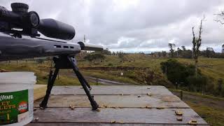 250 yards with a jw15 Norinco 22 [upl. by Apurk]