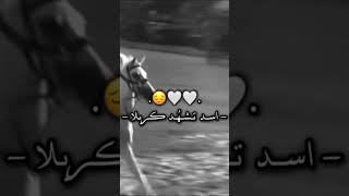 بيك تزهي المرجله [upl. by Rennat]