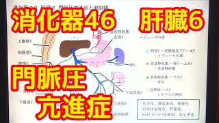 消化器46 肝臓6 門脈圧亢進症と側副路（関連解説：腫瘍塞栓、特発性、日本住血吸虫症、肝硬変、BuddChiari症候群、右心不全） [upl. by Ainot904]