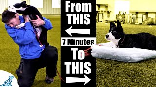 Teach Your Puppy To Calm Down With This 7 Minute Exercise [upl. by Sedda]