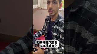 Deltoid muscle  explore physiotherapy [upl. by Mazurek]