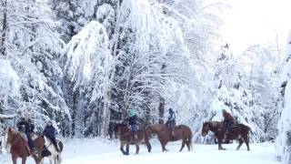 Lajoie Stables Vermont Commercial [upl. by Nylleoj82]