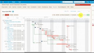 Project Gantt Chart  EasyProjectcom [upl. by Sivie]