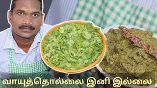 புதினா துவையல்  Puthina Thuvaiyal  Balajis kitchen [upl. by Arihday967]