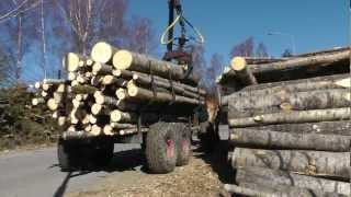 Horse logging Sweden [upl. by Anirual]