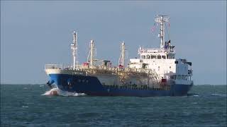 KOTOKU MARU 光徳丸 入港 LPGタンカーLiquefied Petroleum Gas Tanker [upl. by Ruhtra]