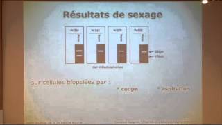 F Guignot  JRE Journée de la recherche équine 2013  Gestations après transfert d’embryons équins [upl. by Cod]