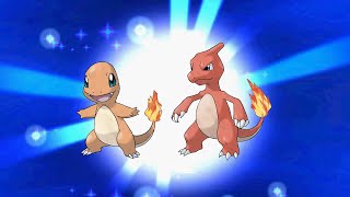 Ashs Charmander evolves into Charmeleon Pokémon Yellow [upl. by Lundquist637]