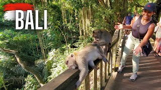 Monkey Forest Ubud amp Uluwatu Temple Kecak Dance balivlog [upl. by Noreen]