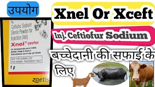 पशुओं में एक्स्नेलXnel इंजेक्शन का उपयोगCeftiofur Sodium inj use in veterinary in hindi [upl. by Dnomsad]