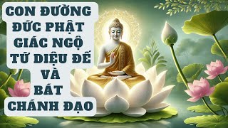 Con đường Đức Phật giác ngộ Tứ Diệu Đế và Bát Chánh Đạo [upl. by Ilse]