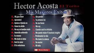 Hector Acosta Mis Mayores Exitos en Bachata [upl. by Weide]